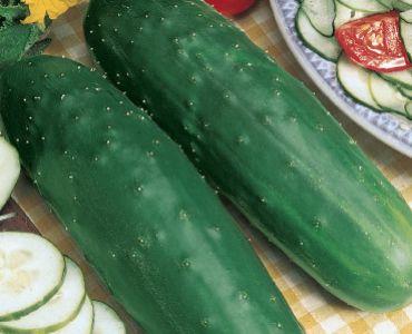 краставици Маркетмор`SG