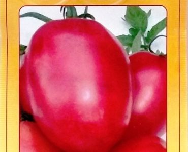 домати Ръгби F1