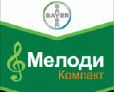 Мелоди компакт