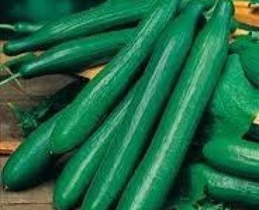 краставици Калунга F1