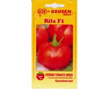 домати Рила F1