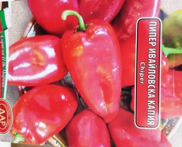 пипер Ивайловска капия