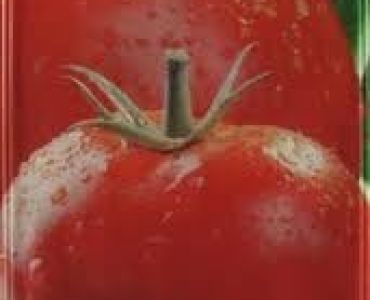 домати Набуко F1