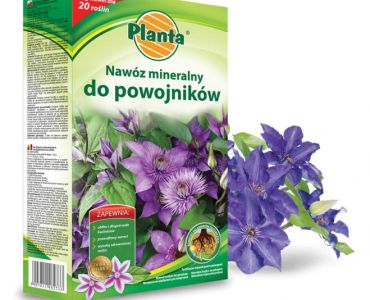 Тор за клематиси Planta