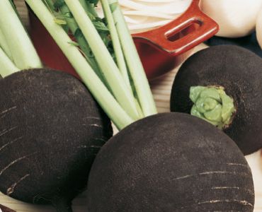 ряпа Черна кръгла`SG