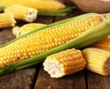 Захарна царевица Синдон (Sindon F1) Syngenta