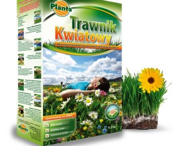 Тревна смес цветя'PL