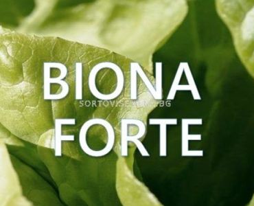 Biona Forte – Биона форте