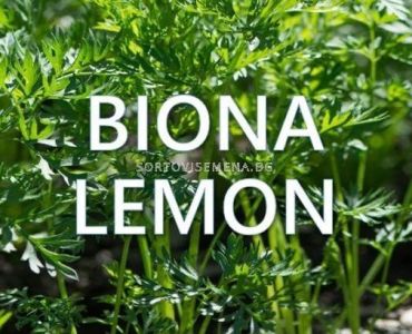 Biona Lemon - Биона Лимон - Биоинсектицид