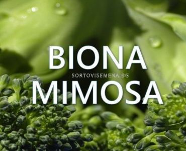 Biona Mimosa - Биона Мимоза - Биофунгицид