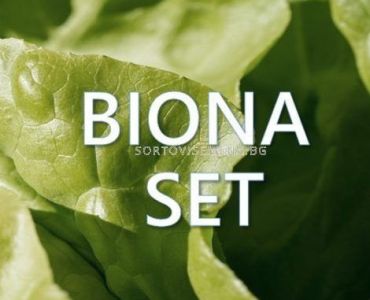 Biona Set - Биона Сет
