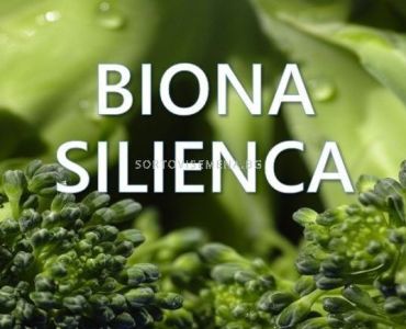 Biona Silienca - Биона Силиенка - Биофунгицид и Биоинсектицид