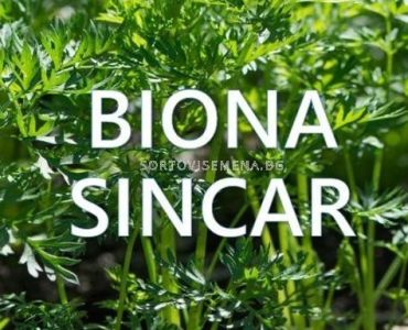 Biona Sincar - Биона Синкар - Биолимацид