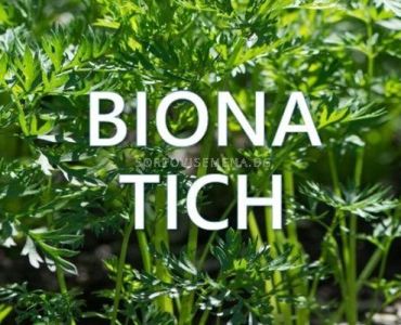Biona Tich - Биона Тич