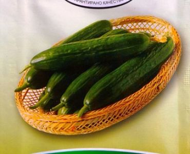 краставици Алиага F1