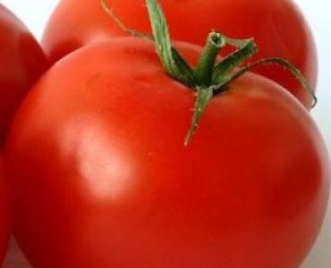 домати AX 35-172 F1
