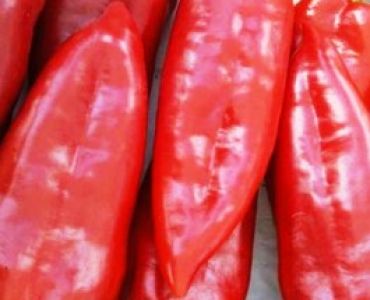 пипер Каптур F1