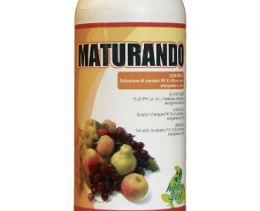 Матурандо / Maturando