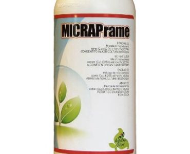 Микрап Рейм