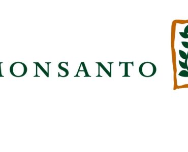 Ястреб плюс