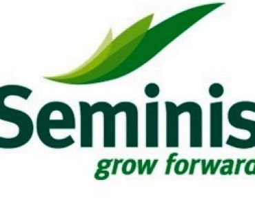 краставици Тесео F1