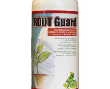Роот Гард (Root Guard)