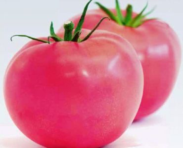 домати Мей Шуай F1 (MEI SHUAI F1)