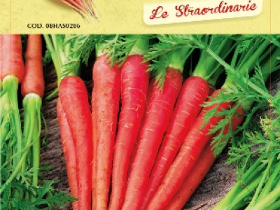   Моркови червени (Atomic red)