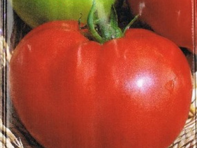   домати Хоумстед