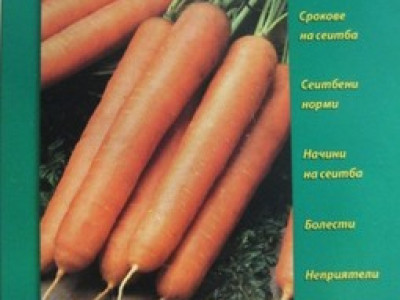   Производство на моркови