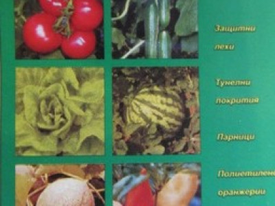   Производство на зеленчукови култури на закрито