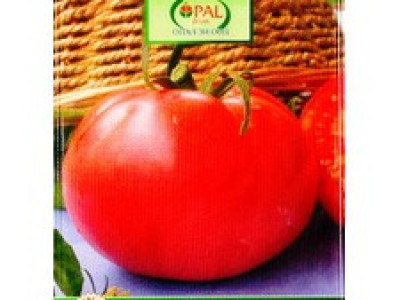   домати Фаворит