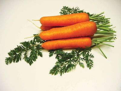   моркови Саманта F1 
