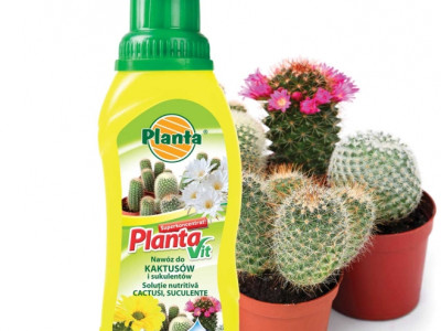   Течен тор за кактуси Planta