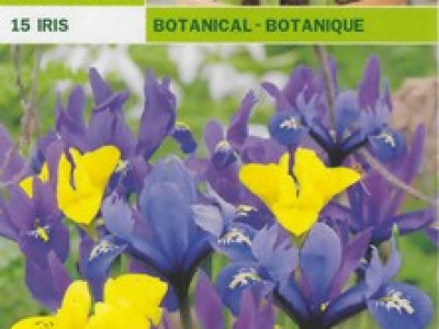   Ирис - Iris Botanical 15 см (пакет - 15 луковици)