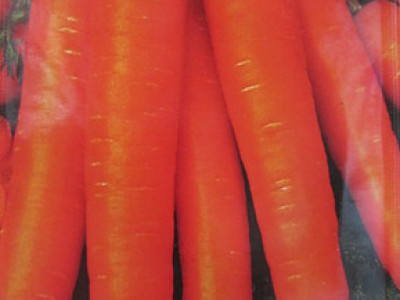   моркови Нантски