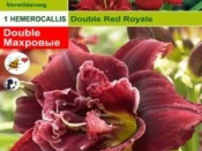   хамерокалис Double Red Royale (пакет)
