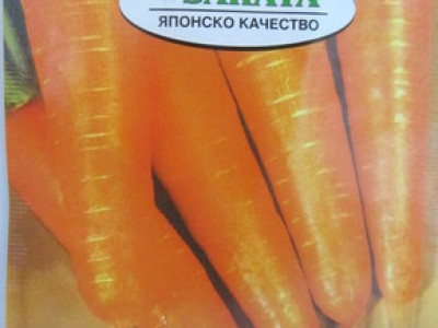   моркови Шантене