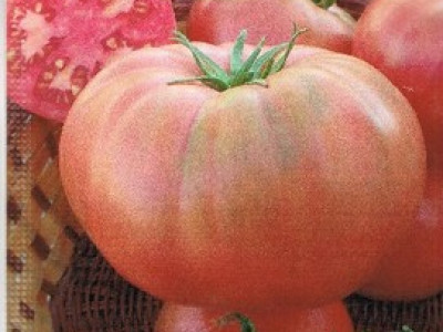   домати Розов идеал