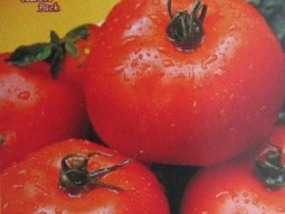   домати Аче