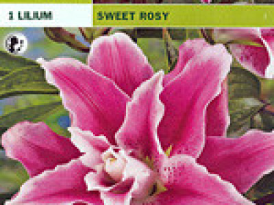   лилиум Sweet Rosy (пакет)