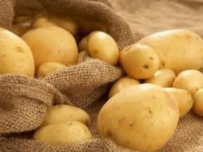   семе картофи Актрис