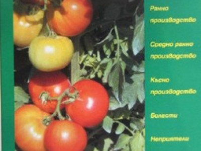   Производство на домати