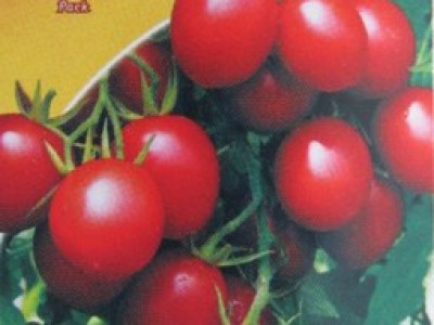   домати Балконски червени
