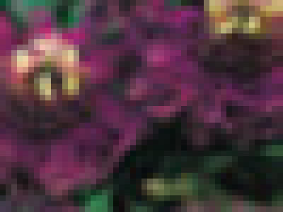   Пасифлора - Passiflora Incense