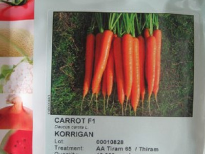   моркови Кориган F1