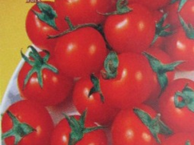   домати Ред Чери
