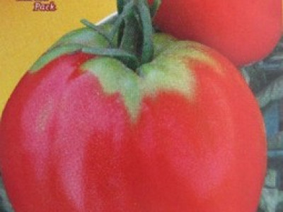   домати Биволско Сърце - розово