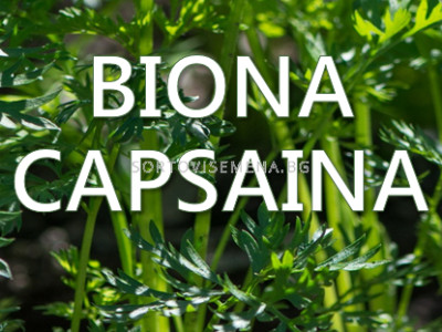   Biona Capsaina - Биона Капсаина (Capcum)