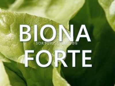   Biona Forte – Биона форте